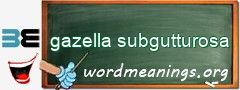 WordMeaning blackboard for gazella subgutturosa